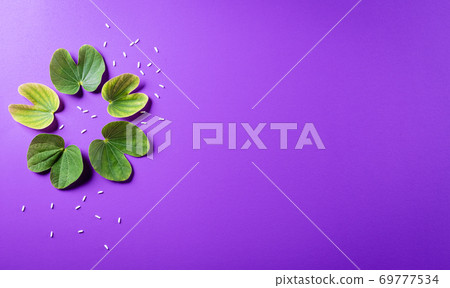 Happy Dussehra. Green leaf and rice on purple pastel background. Dussehra Indian Festival concept. 69777534