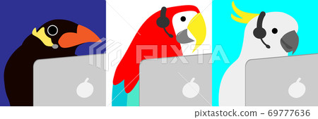 Myna, parrot, and kibatan working in a call center with a headset. 24h shift, from early morning to late night. 69777636