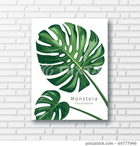 Monstera leave print white frame, on block wall vector 69777946