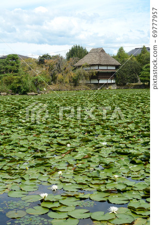 美麗的作品國水山 69777957