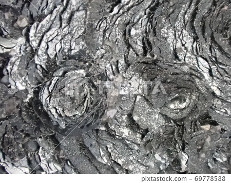 Crystals of hematite Crystals of hematite 69778588