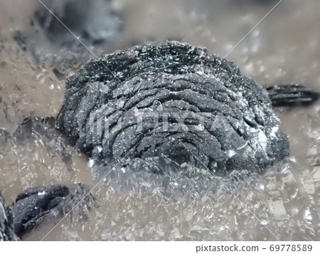 Crystals of hematite Crystals of hematite 69778589