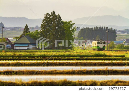 Tadami Line train running through the paddy fields at dusk, Aizumisato Town, Fukushima Prefecture 69778717