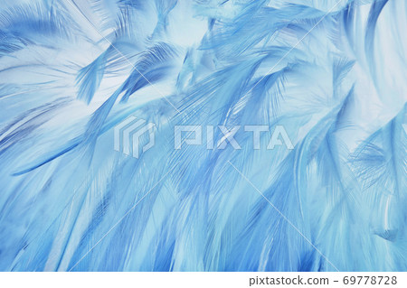 Blue pastel bird feathers pattern texture background. 69778728