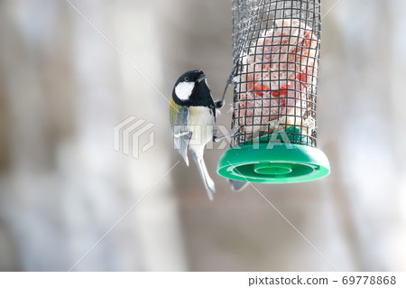 山雀餵鳥器 69778868
