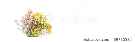 Dried pink and yellow flowers in white vase 69780583