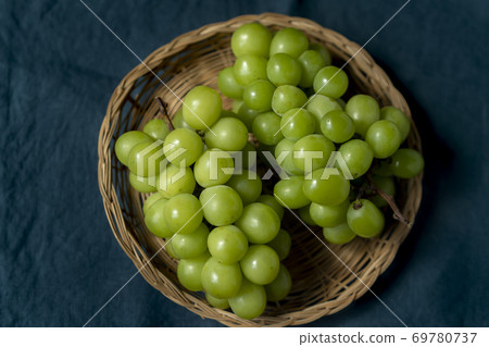 Shine Muscat 69780737