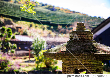 Tea plantations and stone lanterns 69780865