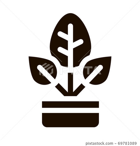 Bush Plant Leaves In Pot Vector Icon Bush Plant Leaves In Pot Vector Icon 69781089