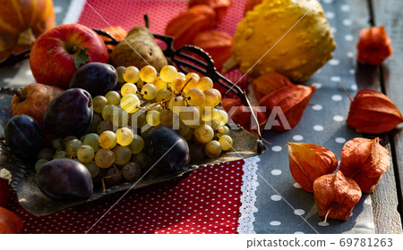 fresh autumn fruits and vegetables thanksgiving 69781263
