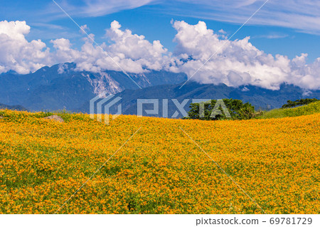 花東之旅 69781729