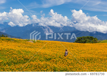 花東之旅 69781730