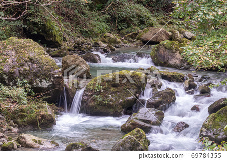 清除流 清除流 69784355