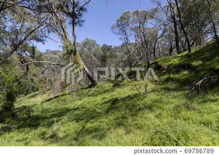 A state park conservation area which is used for tourism and recreation A state park conservation area which is used for tourism and recreation 69786789