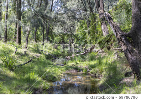 A state park conservation area which is used for tourism and recreation A state park conservation area which is used for tourism and recreation 69786790