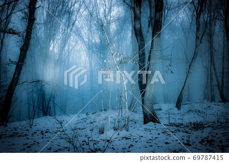 dark misty forest panorama fantasy halloween landscape dark misty forest panorama fantasy halloween landscape 69787415