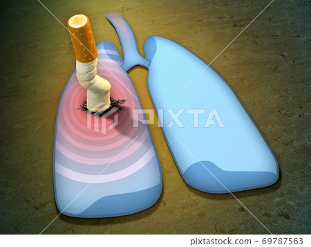 Cigarette butt and lungs 69787563
