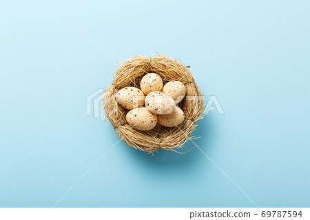 Congratulatory easter background. eggs in the nest Congratulatory easter background. eggs in the nest 69787594