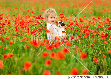 little girl with puppy in field of poppies 69788361