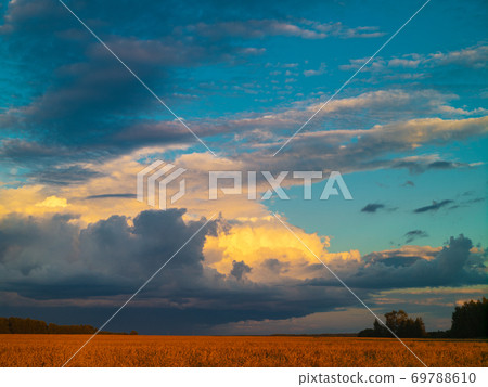 Summer evening landscape with storm clouds and grain field 69788610