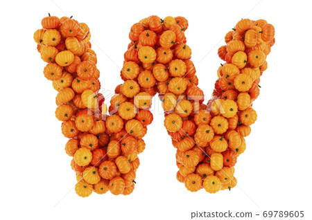 Letter W from Pumpkins. 3D rendering 69789605