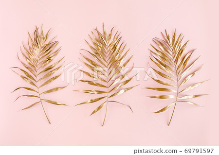 Gold tropical palm leaves on pink background. Flat lay, top view minimal concept. Gold tropical palm leaves on pink background. Flat lay, top view minimal concept. 69791597