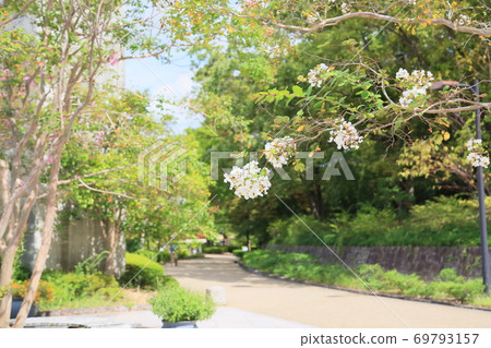 Early autumn park Early autumn park 69793157