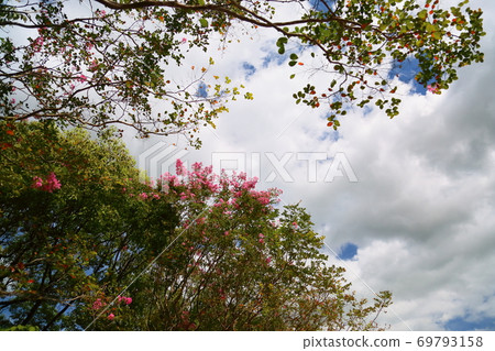 Early autumn park 69793158