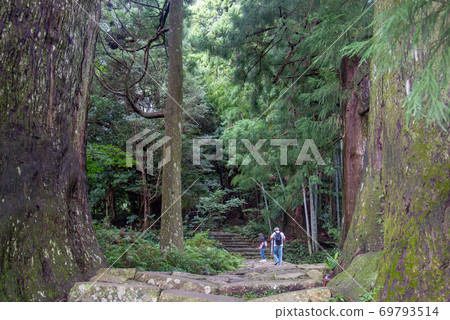 從和歌山縣熊野古道大前坂走過情侶杉的人 69793514