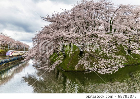 Cherry blossoms in Kajo Park and Yamagata Shinkansen Yamagata City, Yamagata Prefecture Cherry blossoms in Kajo Park and Yamagata Shinkansen Yamagata City, Yamagata Prefecture 69793875