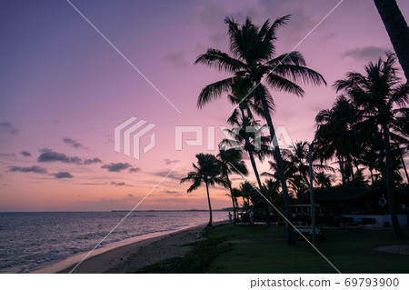 Palm trees silhouettes on tropical beach during colorful sunset. Palm trees silhouettes on tropical beach during colorful sunset. 69793900