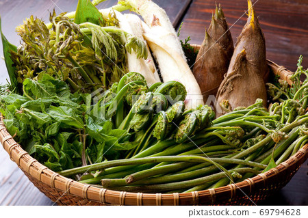 Spring wild plants served in a colander 69794628