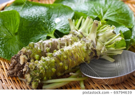 Wasabi and grater on the colander 69794639