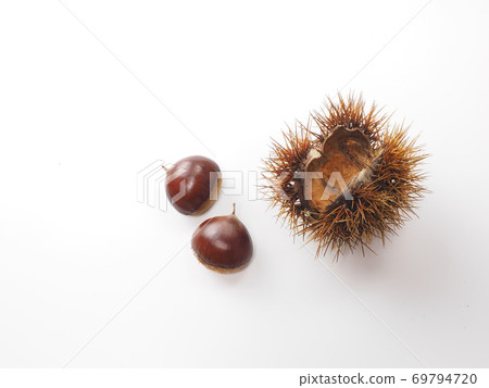 Chestnuts with shells on a white background Chestnuts with shells on a white background 69794720