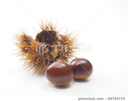 Chestnuts with shells on a white background Chestnuts with shells on a white background 69794724