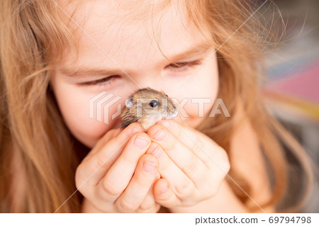 Asian hamster in hands of little cute girls. 69794798