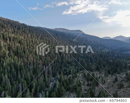 Road in the mountains in Stanislaus National Forest, California, United States of America. Road in the mountains in Stanislaus National Forest, California, United States of America. 69794803