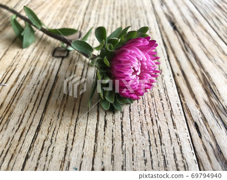 Close up texture of wood table with pink flower on the top Close up texture of wood table with pink flower on the top 69794940
