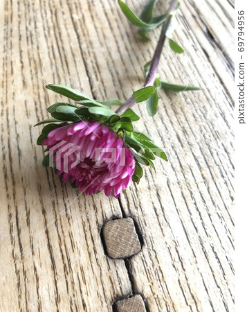Close up texture of wood table with pink flower on the top Close up texture of wood table with pink flower on the top 69794956