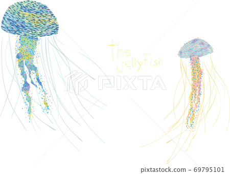 jellyfish jellyfish 69795101