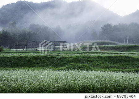 ida田高原（Kaida Kogen）：霧之蕎麥田和Hasagi 69795404