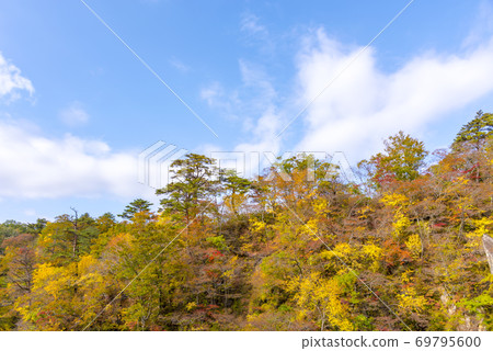 Autumn leaves of Miyagi Naruko gorge 69795600