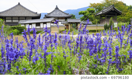 飛鳥寺 69796180