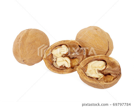 walnuts an isolated on white background walnuts an isolated on white background 69797784