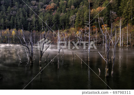 Hairstorm natural lake Hairstorm natural lake 69798311