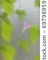 Morning glory over the glass 69798959