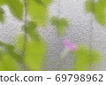 Morning glory over the glass 69798962