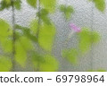 Morning glory over the glass 69798964