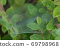 Shelf net with fine water droplets 69798968
