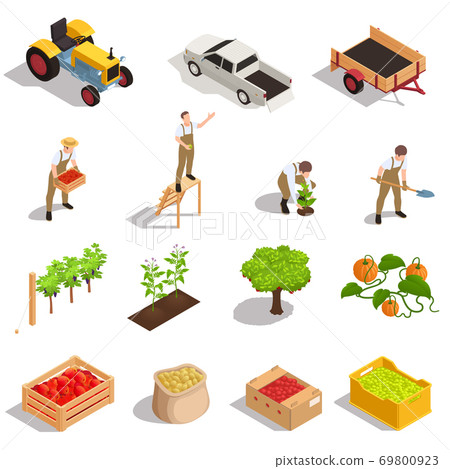 Farm Harvesting Isometric Set  69800923